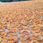 e8481eec-8013-4eca-95b6-26ff88b5bccd