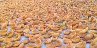 e8481eec-8013-4eca-95b6-26ff88b5bccd