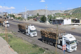 ekoloji-birliginden-28-temmuz-cagrisi-sirnakta-bulusalim