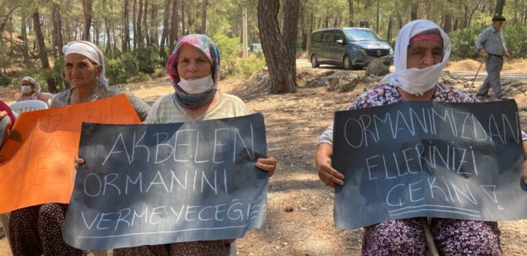 Akbelen’deki Nöbetli Direniş 3. Yılında