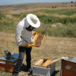 08-2024-15082024-aras2