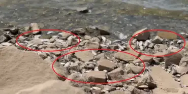 242245876-1729743118