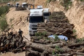 30-yildir-yasakli-olan-gabarda-petrol-talani