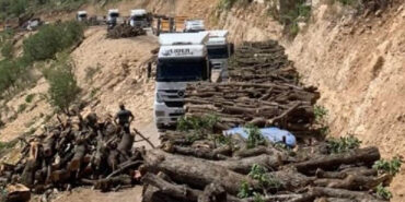 30-yildir-yasakli-olan-gabarda-petrol-talani