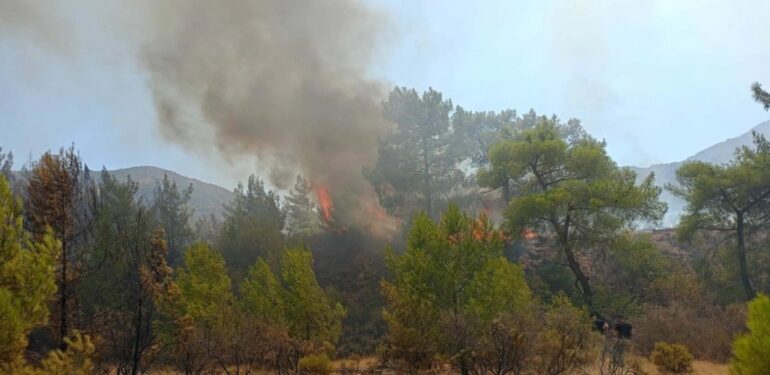 Marmaris’te çıkan orman yangını söndürüldü