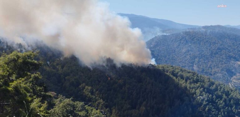 ‘Aydın orman yangınında gece görüşlü helikopter olsaydı böyle devam etmezdi’