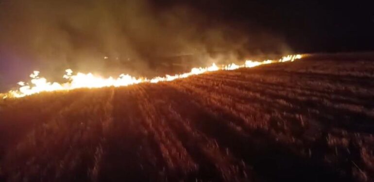 Ağrı’da yangın; 3 bin dönümlük tarla küle döndü