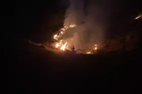 66ca303fb97a41ba49481532