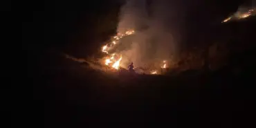 66ca303fb97a41ba49481532