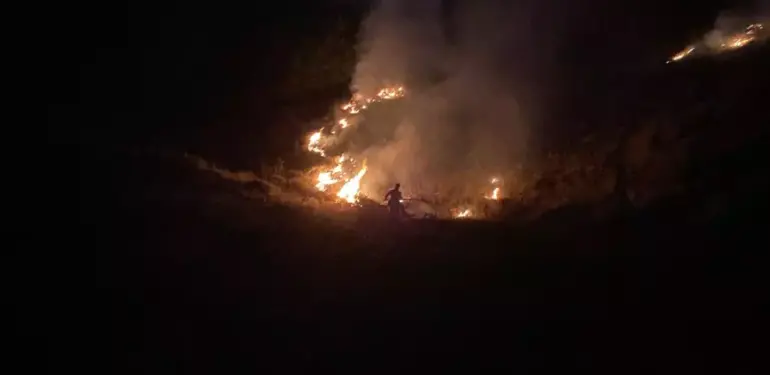 Bingöl’de altı noktada orman ve örtü yangını