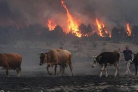 690x390cc-ank-22-08-2024-yangin-devam-ediyor