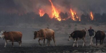 690x390cc-ank-22-08-2024-yangin-devam-ediyor