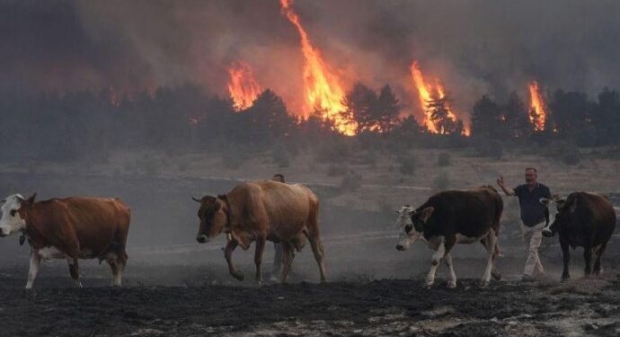 Bolu’daki yangın kontrol altına alındı