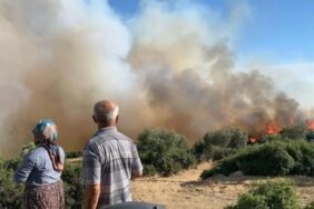 690x390cc-izm-17-08-2024-ege-yanginlari-son-durum4