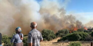 690x390cc-izm-17-08-2024-ege-yanginlari-son-durum4