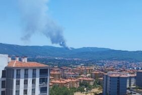 690x390cc-mgl-18-08-2024-muglada-3-ilcede-yangin1