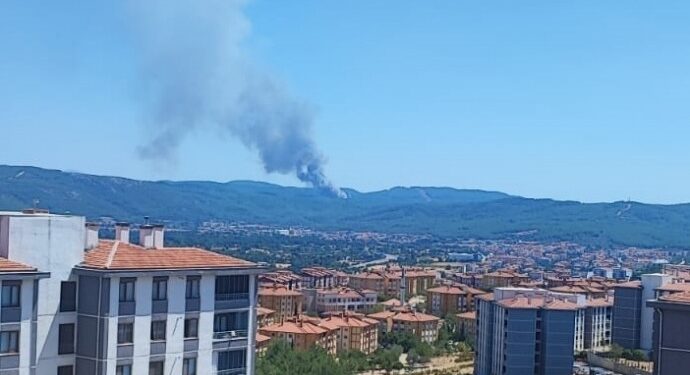 Muğla’nın 3 ilçesinde yangın çıktı
