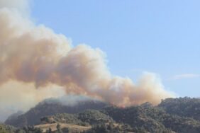 690x390cc-mns-11-08-2024-orman-yanginlari3