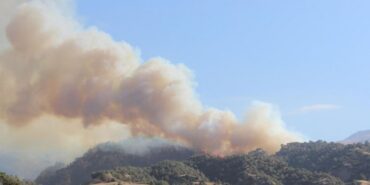 690x390cc-mns-11-08-2024-orman-yanginlari3