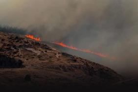 Ekran görüntüsü 2024-08-17 134955