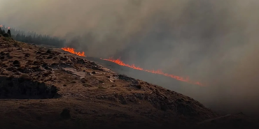 Ekran görüntüsü 2024-08-17 134955