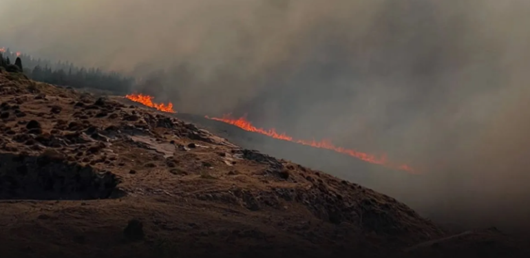 Bolu, Manisa ve İzmir’de orman yangınları