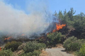 hatay-da-cikan-orman-yangini-1024x576