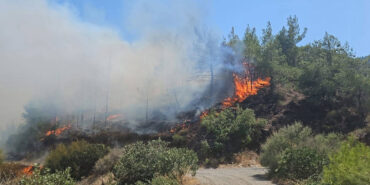 hatay-da-cikan-orman-yangini-1024x576