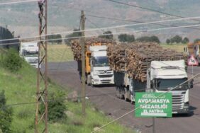 sirnak-agac-katliami-2-750x418