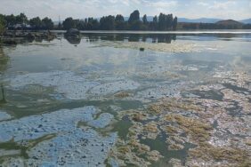 thumbs_b_c_fbe106c31da50b45329843154ca89d93