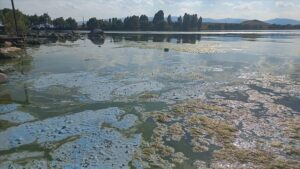 thumbs_b_c_fbe106c31da50b45329843154ca89d93