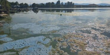 thumbs_b_c_fbe106c31da50b45329843154ca89d93