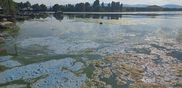 Çıldır Gölü aşırı sıcakların etkisinde