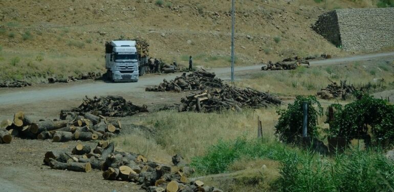Şırnak’ta devam eden orman kesimleri mevzuata uygunmuş!
