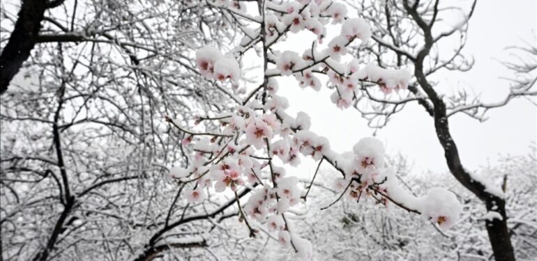 Uzmanlar anlattı; Türkiye’de kış nasıl geçecek?