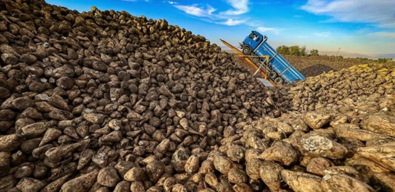 Şekerpancarı alım fiyatı açıklandı