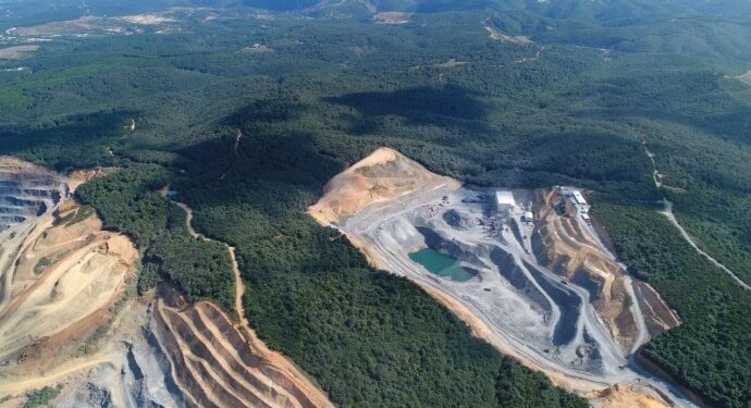 Ordu’daki fındık bahçeleri için skandal karar