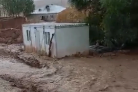 690x390cc-van-elbek-sel