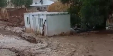 690x390cc-van-elbek-sel