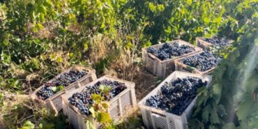 930jpg-BtGTdr1znkOZ7jWU2seyfQ