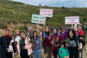 Ekran görüntüsü 2024-09-09 191219