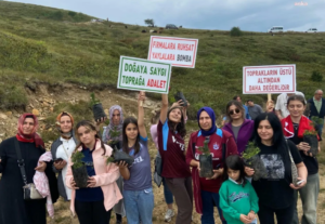 Ekran görüntüsü 2024-09-09 191219