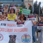 aym2-e1725539471233