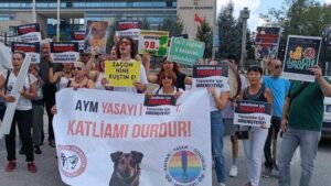 aym2-e1725539471233