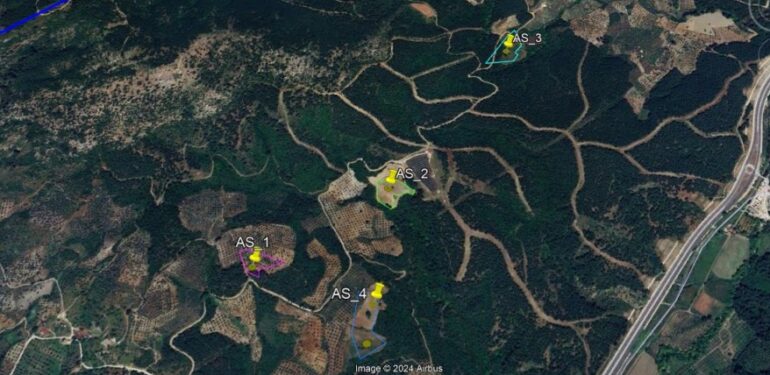 İzmir’deki zeytinliklere JES ısrarı sürüyor