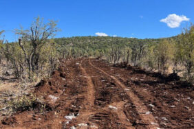 20241019-jpg9b7e8b-image