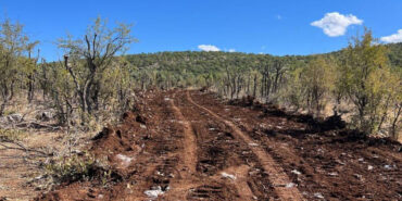 20241019-jpg9b7e8b-image