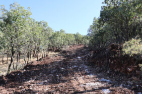 20241021-299a5375-jpg0331be-image