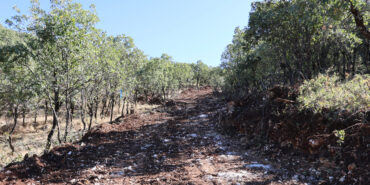 20241021-299a5375-jpg0331be-image