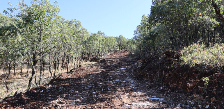 Diyarbakırlılar  Kulp’taki doğa kıyımına tepkili